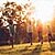canva_StockPlanets-Getty_Brand_Images canva_StockPlanets-Getty_Brand_Images