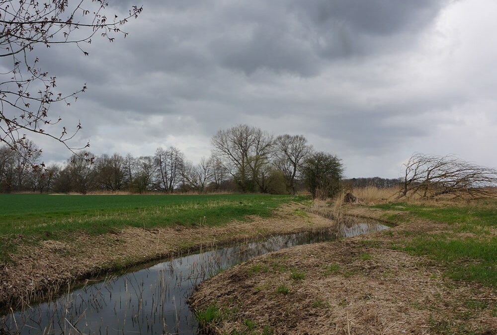 Erdheilungsplatz Steinlachen Zweimen