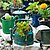 stiftung_erdheilungsplaetze_oekologischer_garten_recycling Alte Teekanne recycelt zu einem Blumentopf
