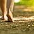 Canva Walking Bare Feet Along a Trail in the Woods
