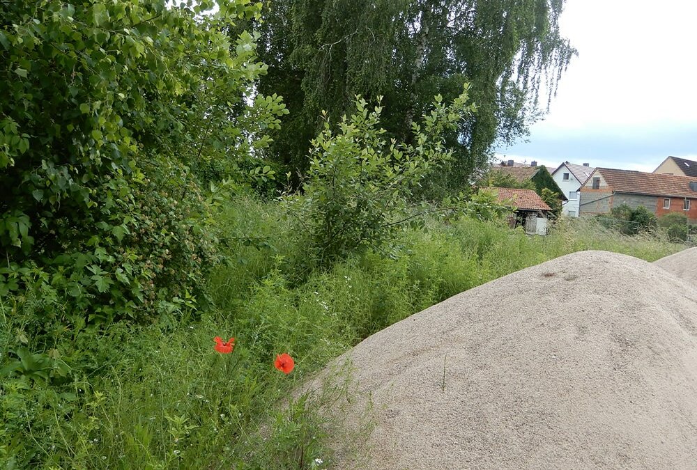 Erdheilungsplatz Gerstungen