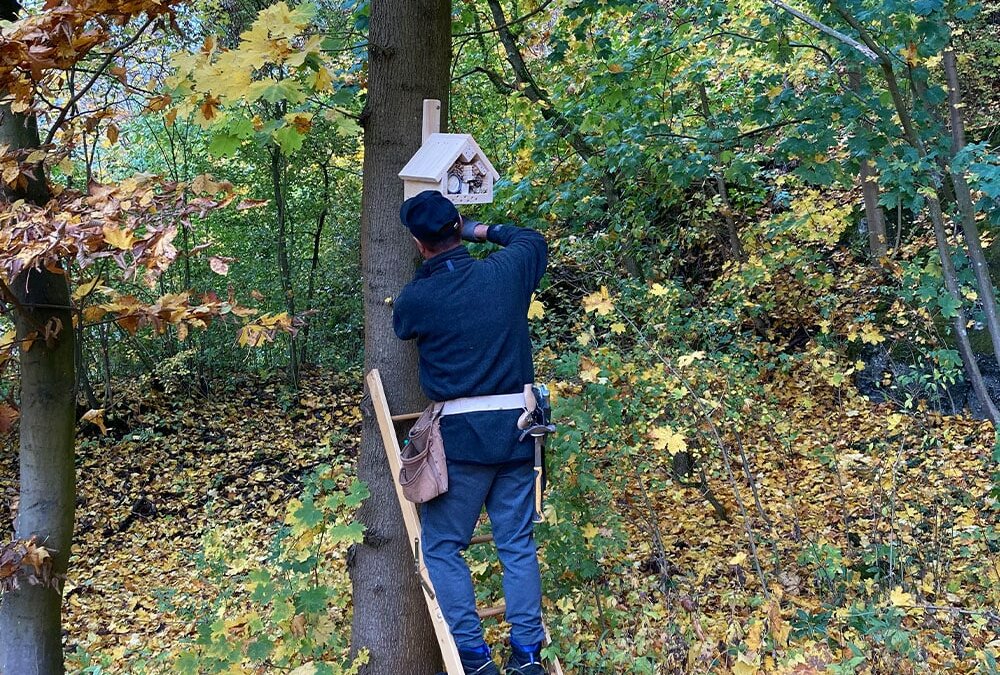 Ehrenamtlicher Helfer montiert Insektenhotel an Baumstamm zur Förderung des Insektenschutzes am Erdheilungsplatz Gerstungen