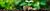 Stiftung Erdheilungsplätze Spenden Teaser Stiftung Erdheilungsplätze Spenden Teaser