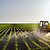 Stiftung Erdheilungsplätze Monokulturen Landwirtschaft Stiftung Erdheilungsplätze Monokulturen Landwirtschaft