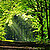 Wald in Deutschland Wald in Deutschland