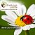 Stiftung Erdheilungsplätze Naturpunkte sammeln Stiftung Erdheilungsplätze Naturpunkte sammeln