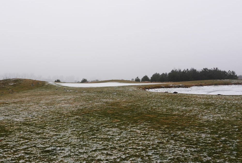 Der Golfplatz in Krugsdorf ist ein mögliches Renaturierungsprojekt der Stiftung