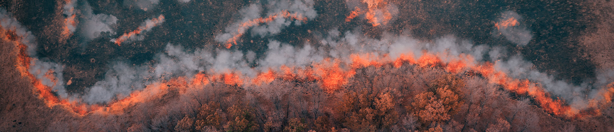 Brennende Wälder werden durch den Klimawandel immer häufiger