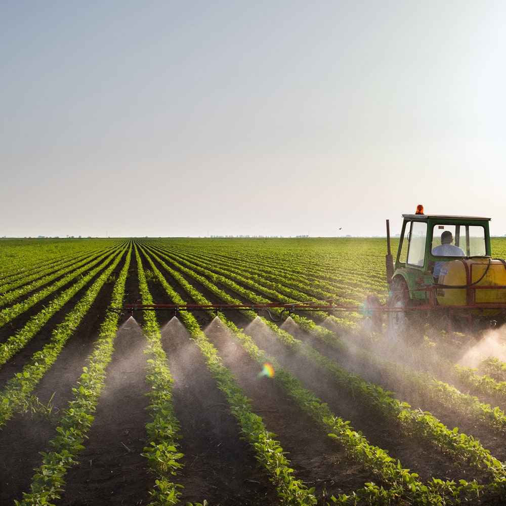 Stiftung Erdheilungsplätze Monokulturen Landwirtschaft