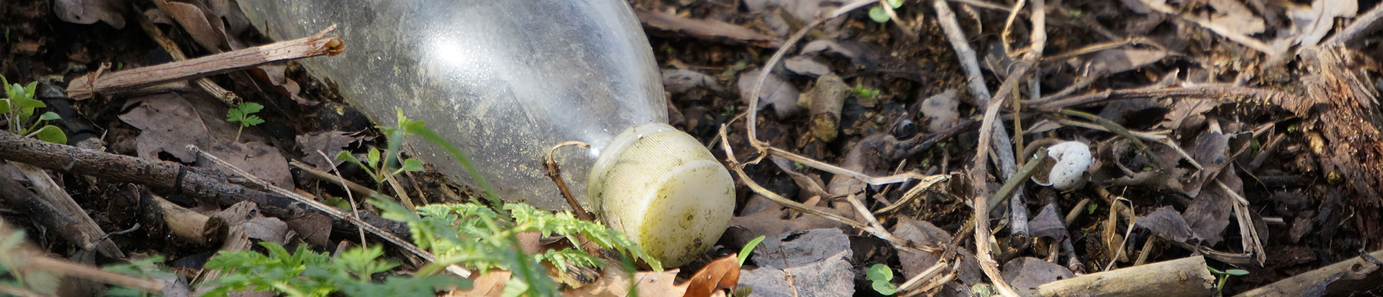 Plastikflasche auf einem Erdheilungsplatz im Wald