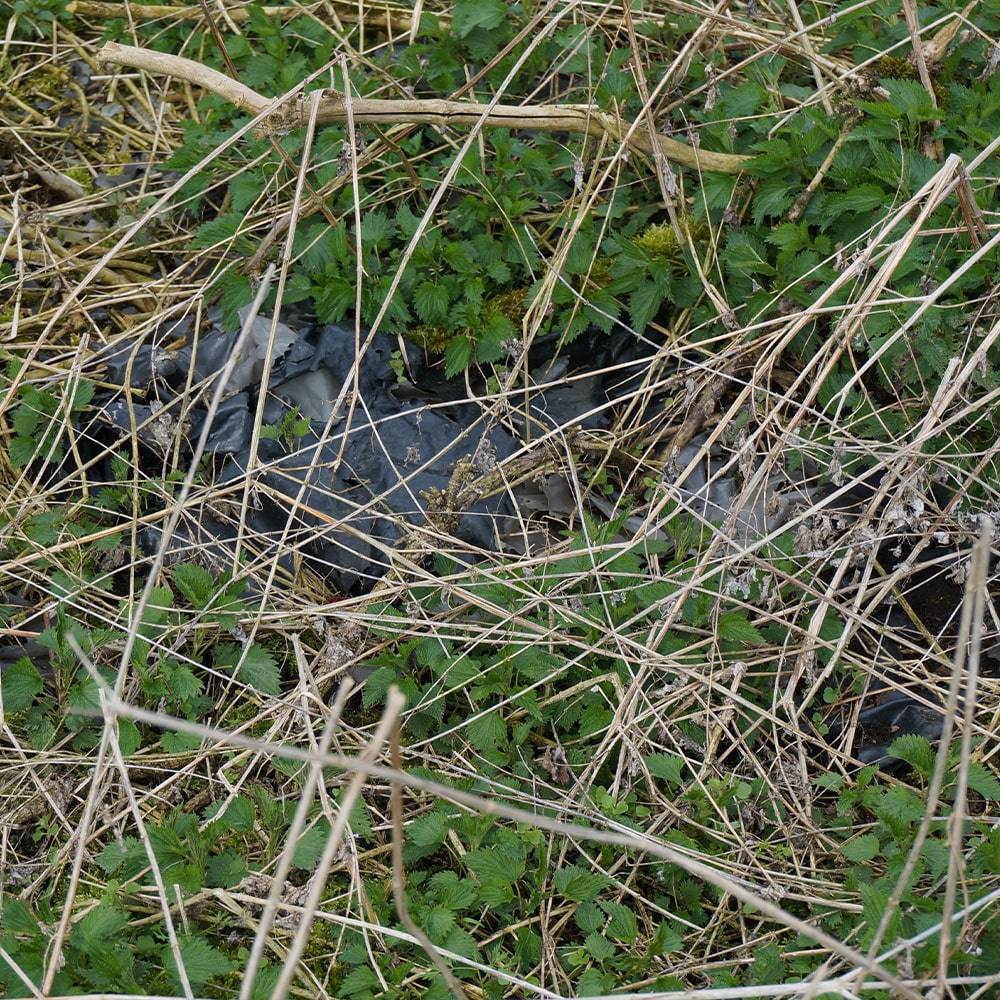 Plastikfolie in der Natur