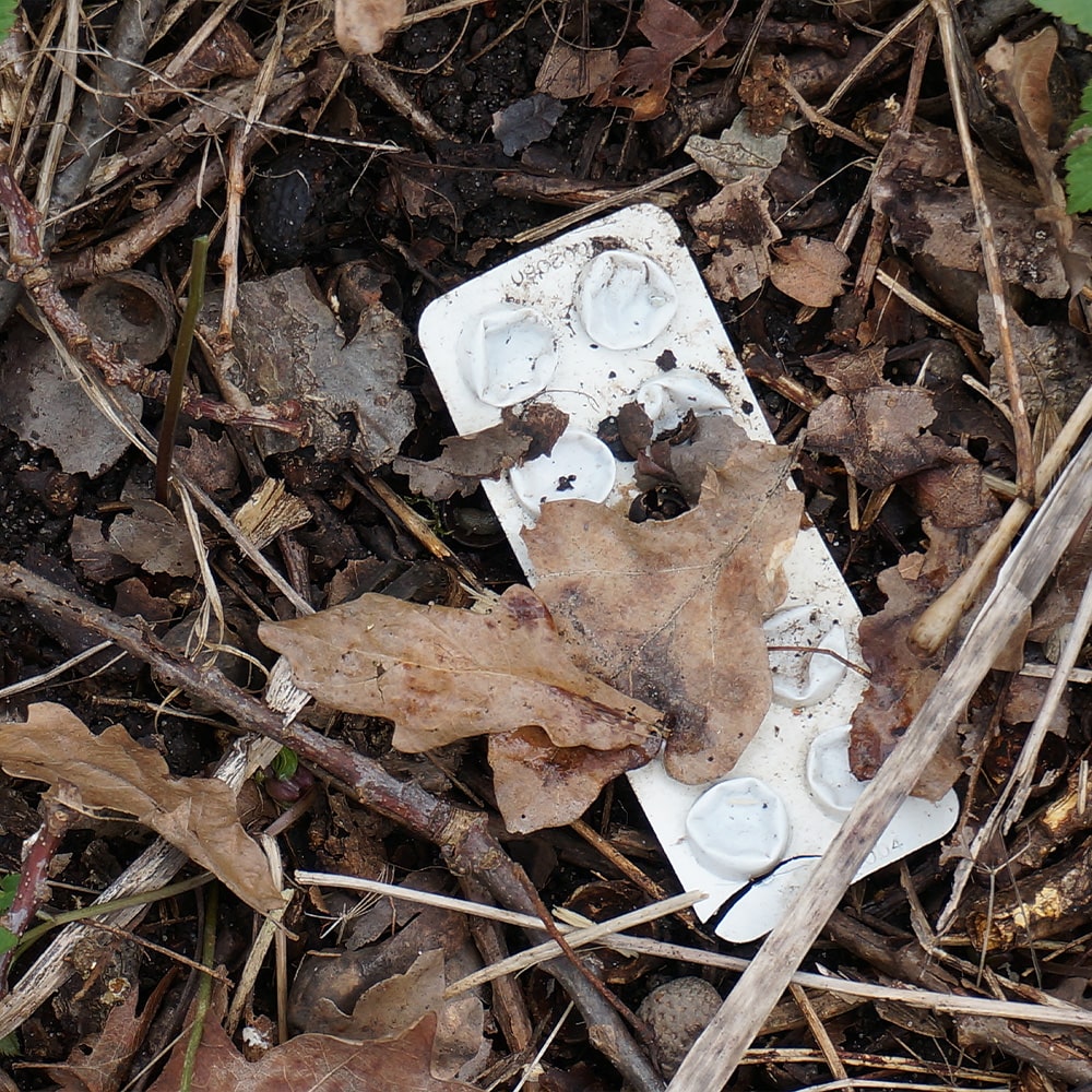 Stiftung Erdheilungsplätze Plastikverpackung im Wald Plastikverpackung im Wald