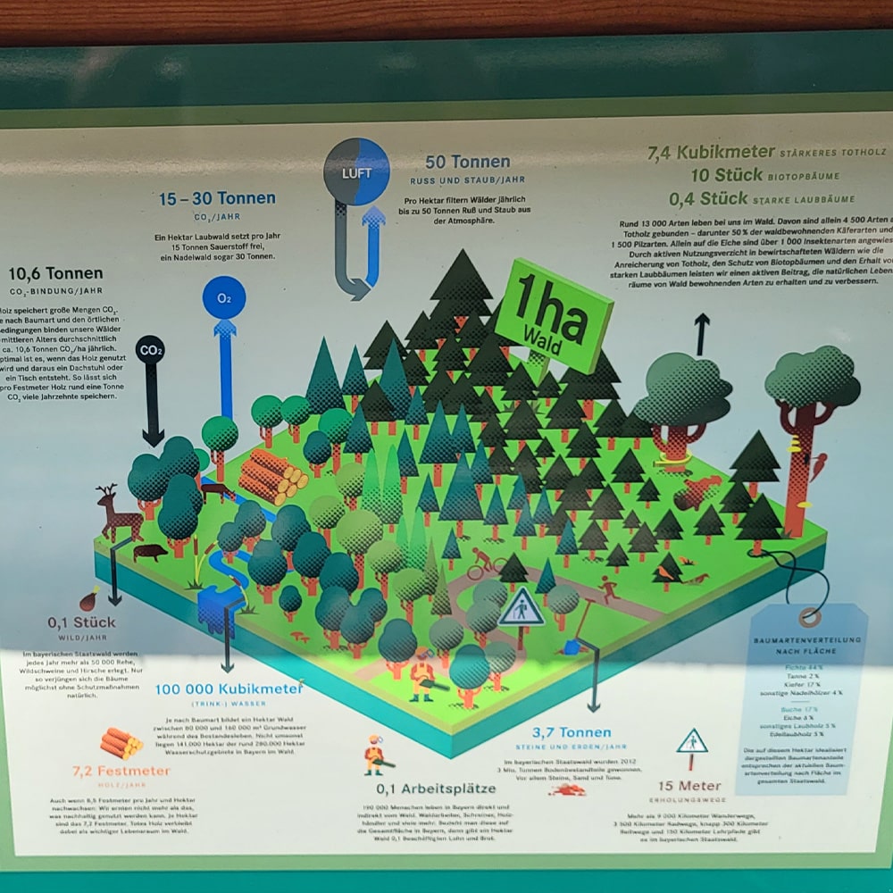 Das Schild erklärt alle Funktionen des Waldes