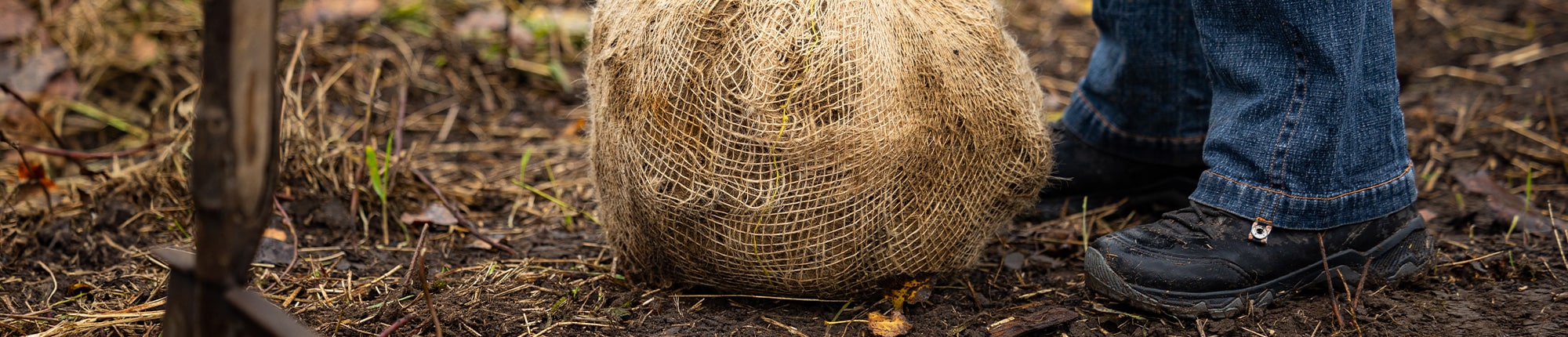 Pflanzaktion im Halle-Saale-Kreis