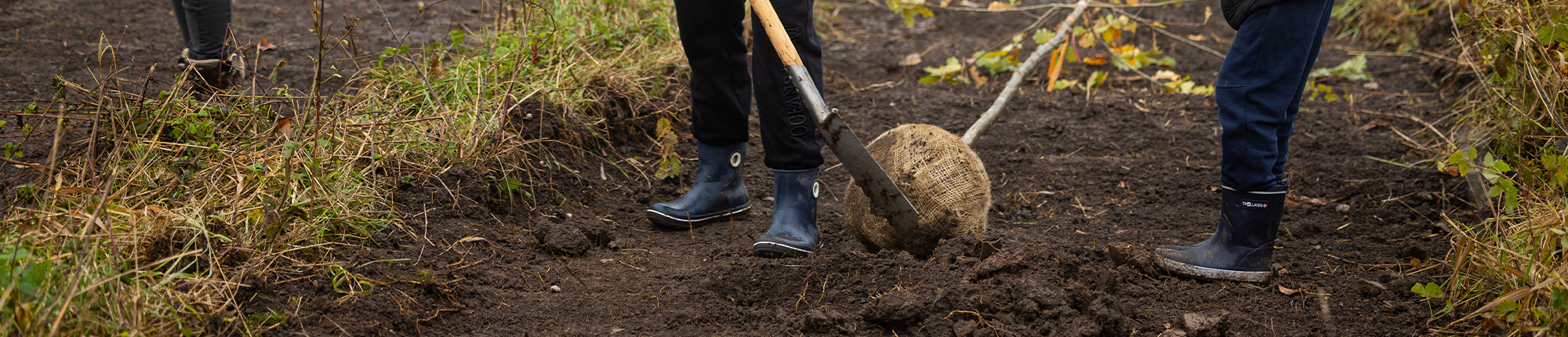 Pflanzaktion im Halle-Saale-Kreis
