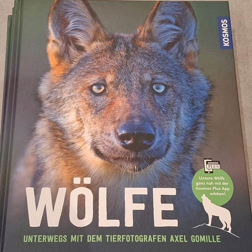 Buch über Wölfe von Axel Gomille