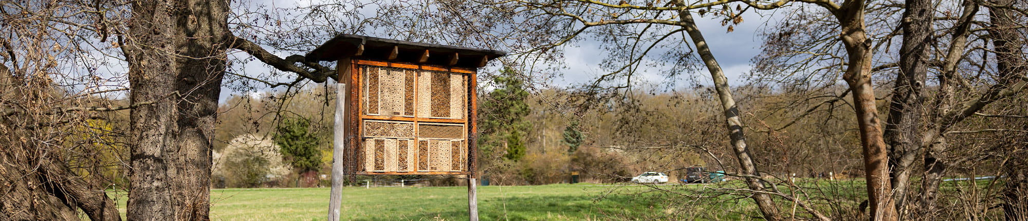 Das neue Insektenhotel auf der Doelkauer Meilenwiese