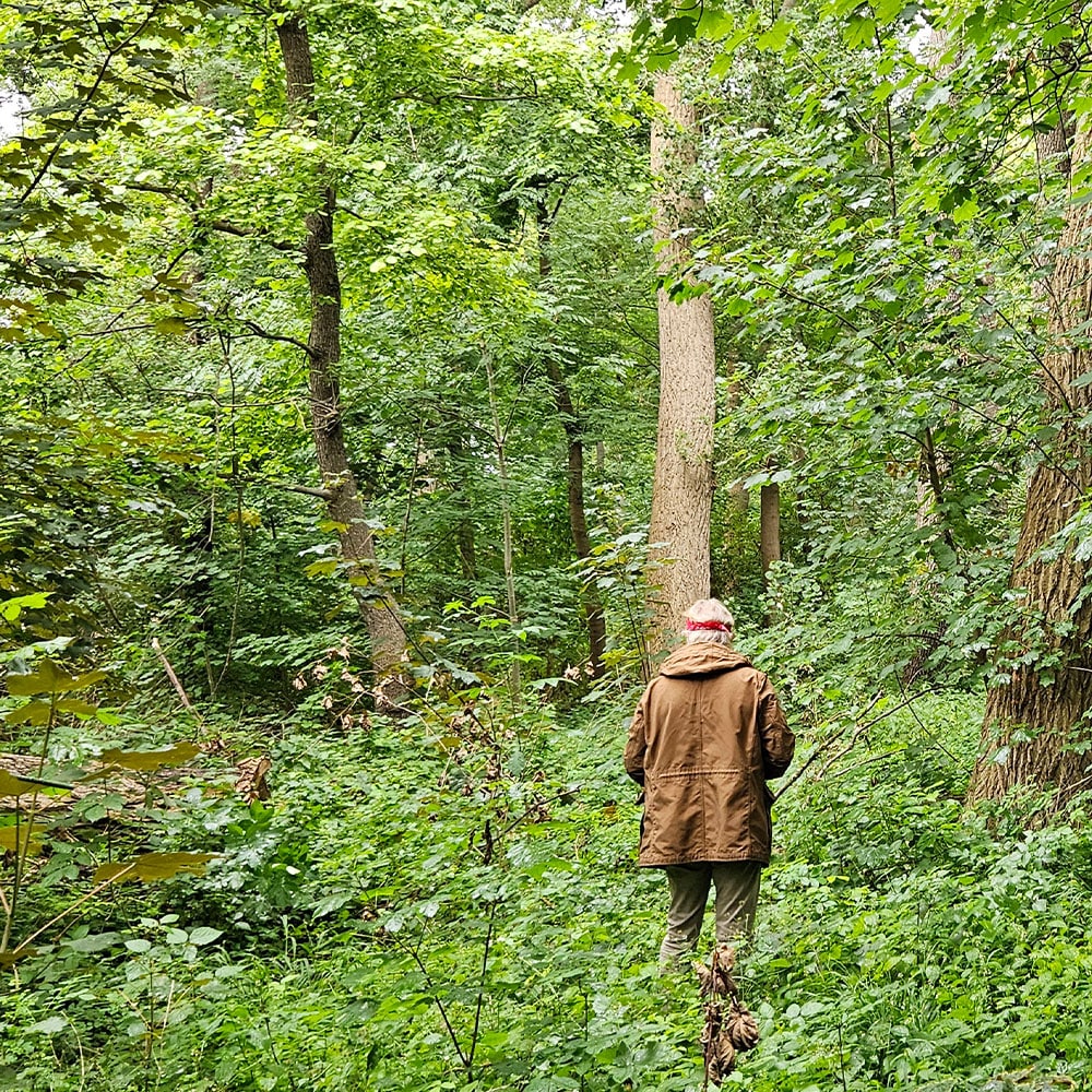 Der Erdheilungsplatz Günthersdorf Ellernholz im Juli 2025