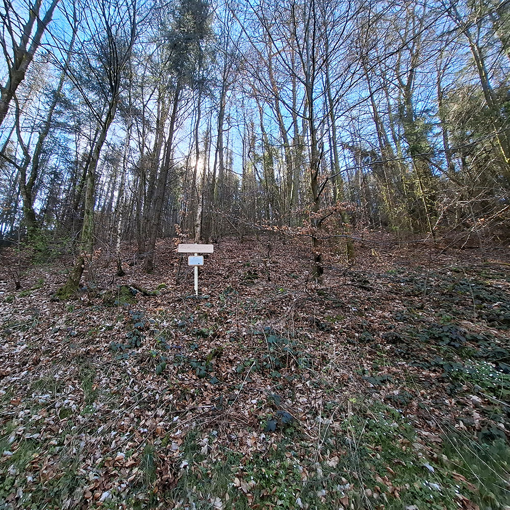 Erdheilungsplatz Gummersbach Höhe Von der Straße aus sieht man den Hang und das Schild am Erdheilungsplatz Gummersbach Höhe