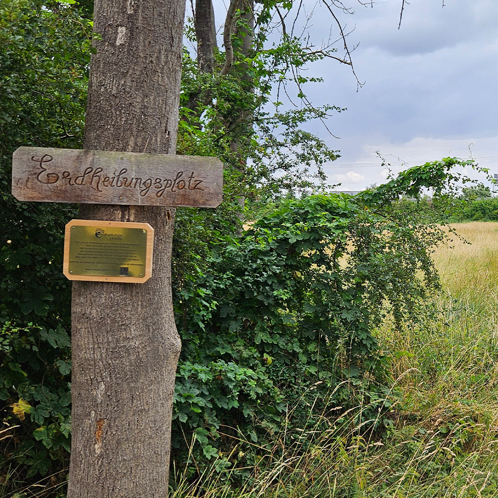 Das neue Schild am Erdheilungsplatz Horburg Möritzschhufen im Juli 2025