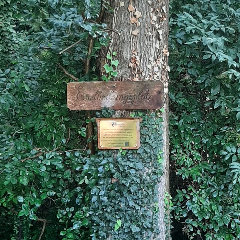 Das neue Schild am Erdheilungsplatz Kötzschlitz Sorgenplan im August 2025