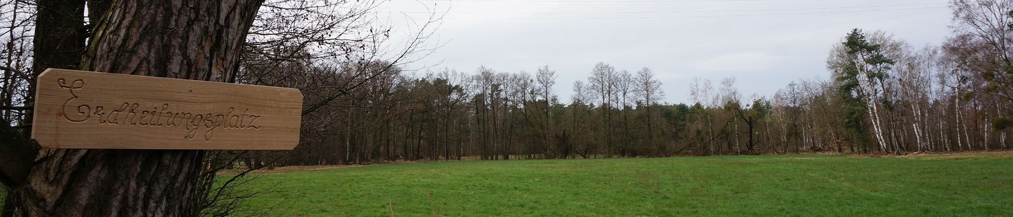 stiftung_erdheilungsplaetze_luko_gruenland_header Erdheilungsplatz Luko Grünland