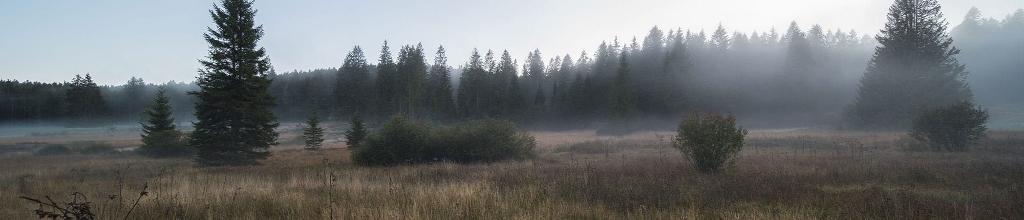 Die Stiftung Erdheilungsplätze sucht dauerhaft nach Flächen zum Erwerb