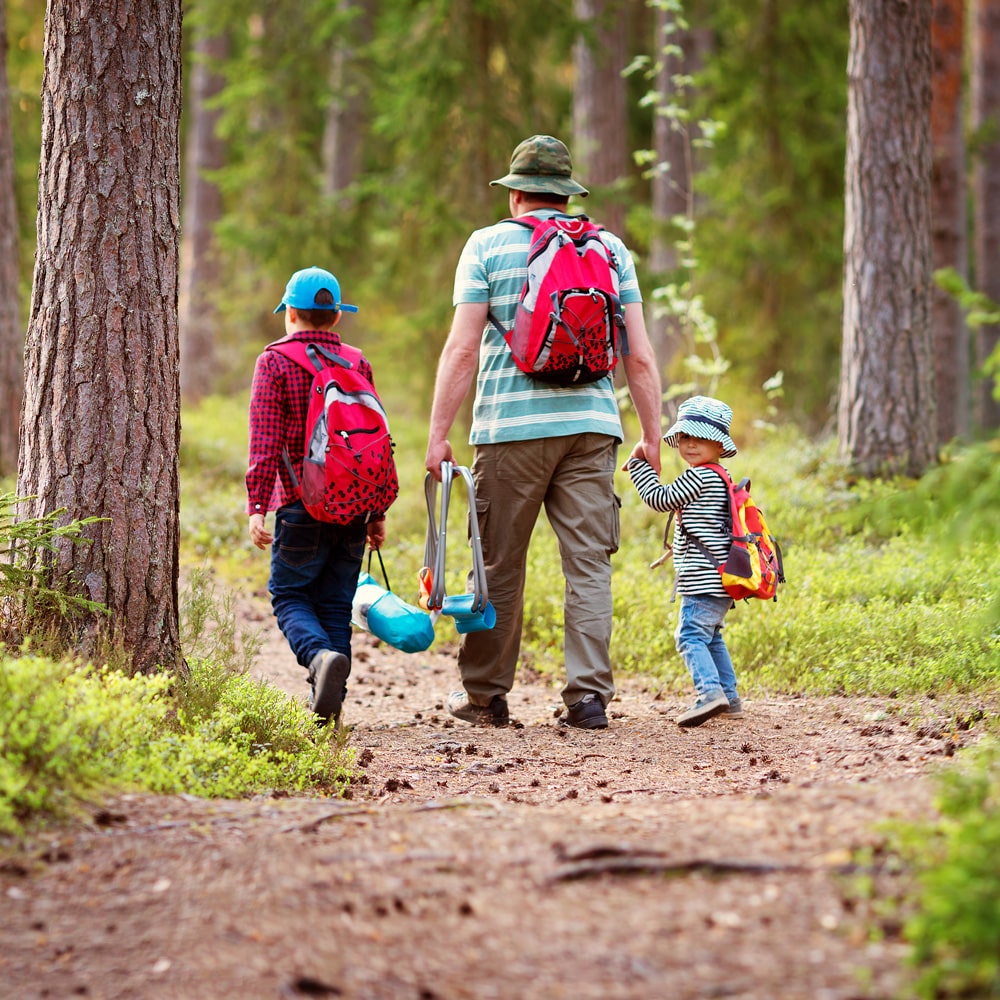 Stiftung Erdheilungsplätze Wandern im Wald