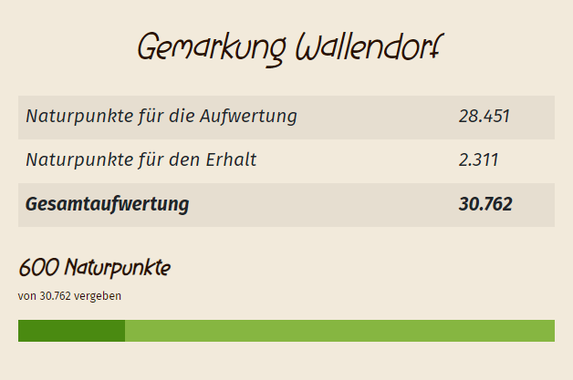 Beispiel_naturpunkte_konto_erdheilungsplaetze Die Tabelle zeigt ein beispielhaftes Naturpunkte-Konto, mit den Naturpunkten die für die Aufwertung und den Erhalt vergeben werden und den bereits vergebenen Naturpunkten.