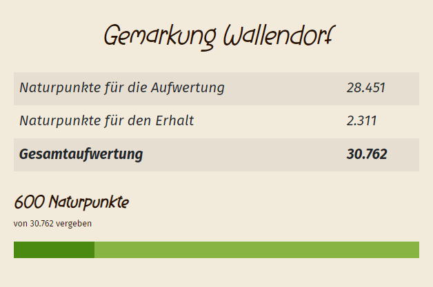 Die Tabelle zeigt ein beispielhaftes Naturpunkte-Konto, mit den Naturpunkten die für die Aufwertung und den Erhalt vergeben werden und den bereits vergebenen Naturpunkten. 