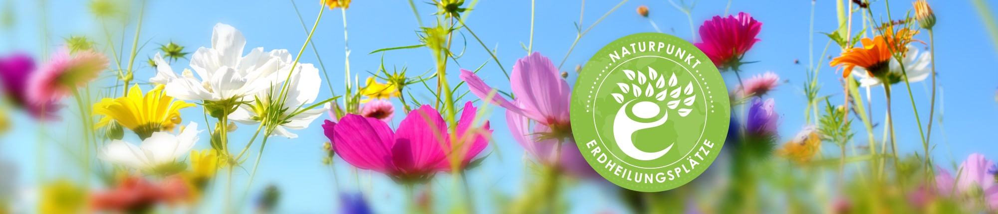Stiftung Erdheilungsplätze Naturpunkte Stiftung Erdheilungsplätze Naturpunkte