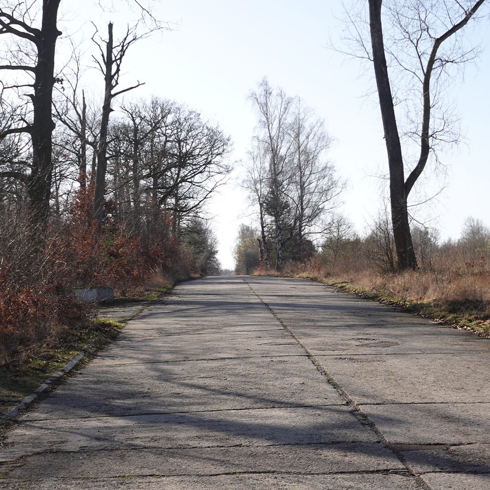 Eine alte Teerstarße auf dem ehemaligen Flugplatz bei Altstedt