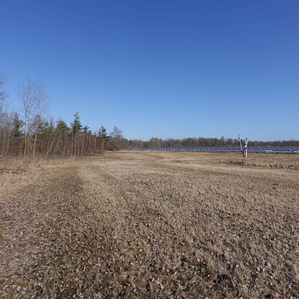Der ehemalige Flugplatz bei Altstedt