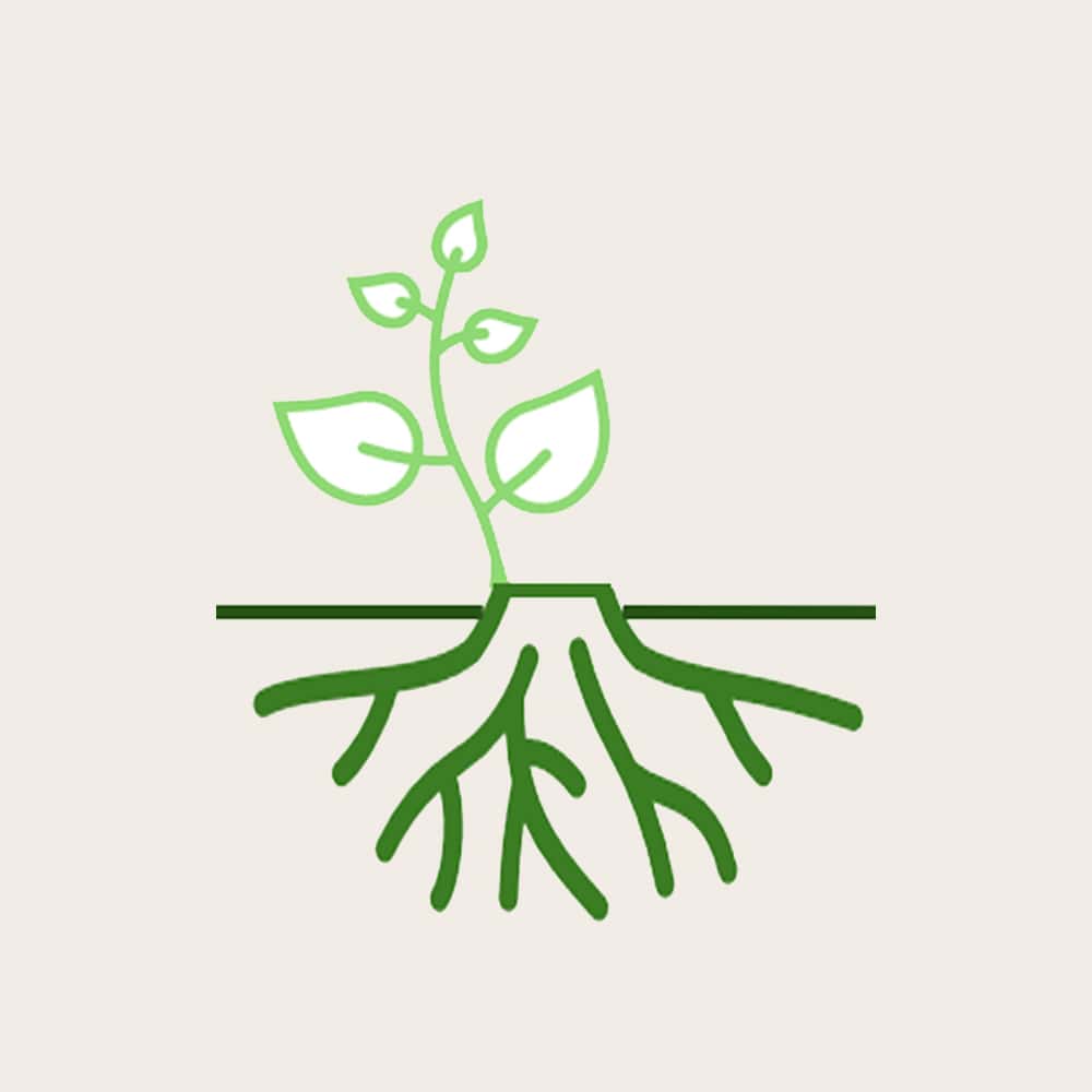 Netzwerk für Natur und Nachhaltigkeit